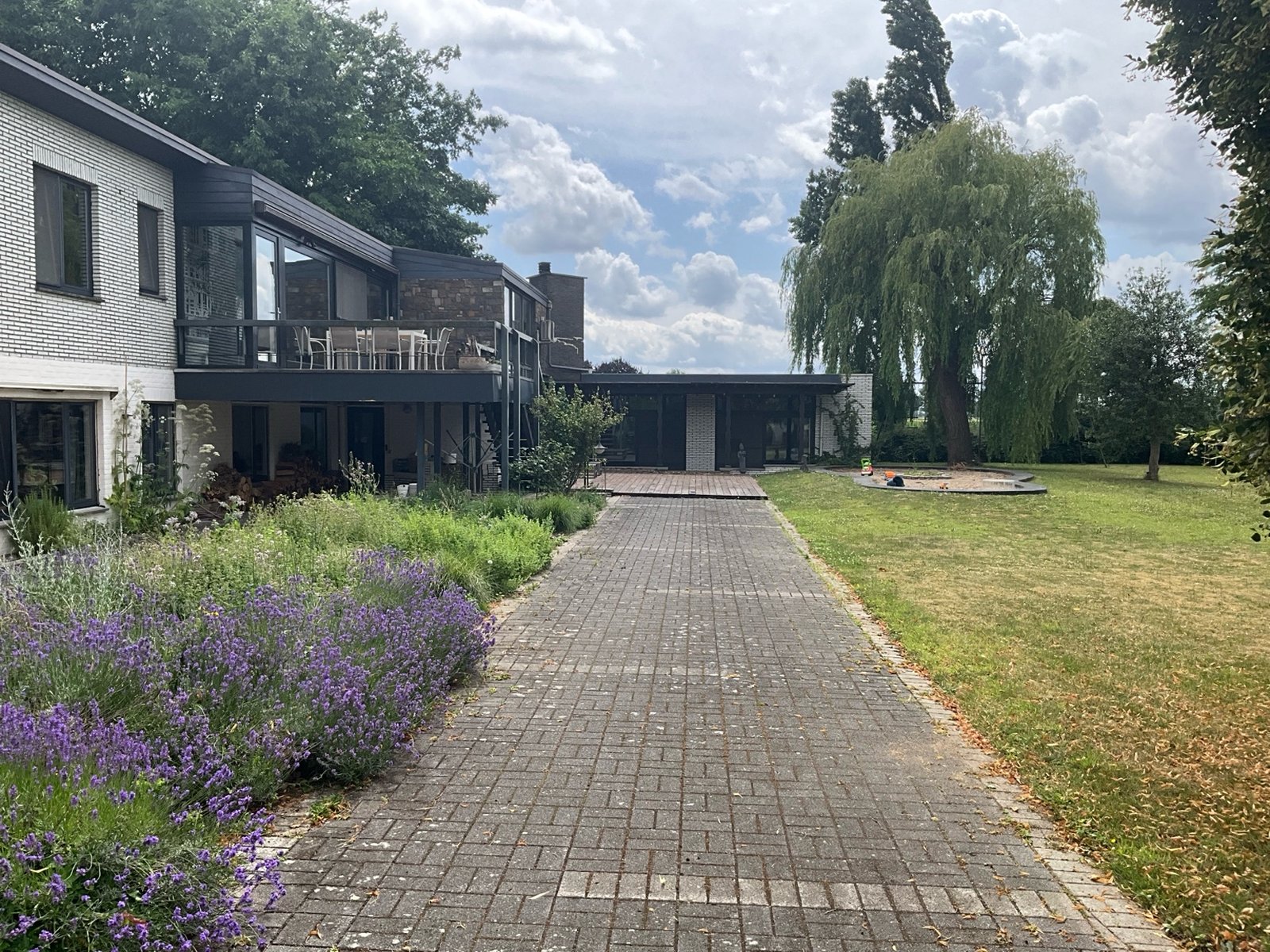 Urban Oasis garden path leading to the practice space in Maaseik