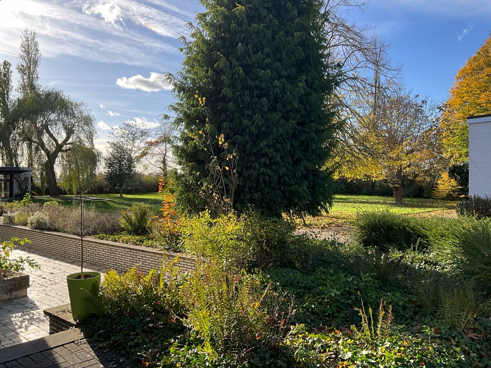 Urban Oasis garden view in Maaseik – view 2