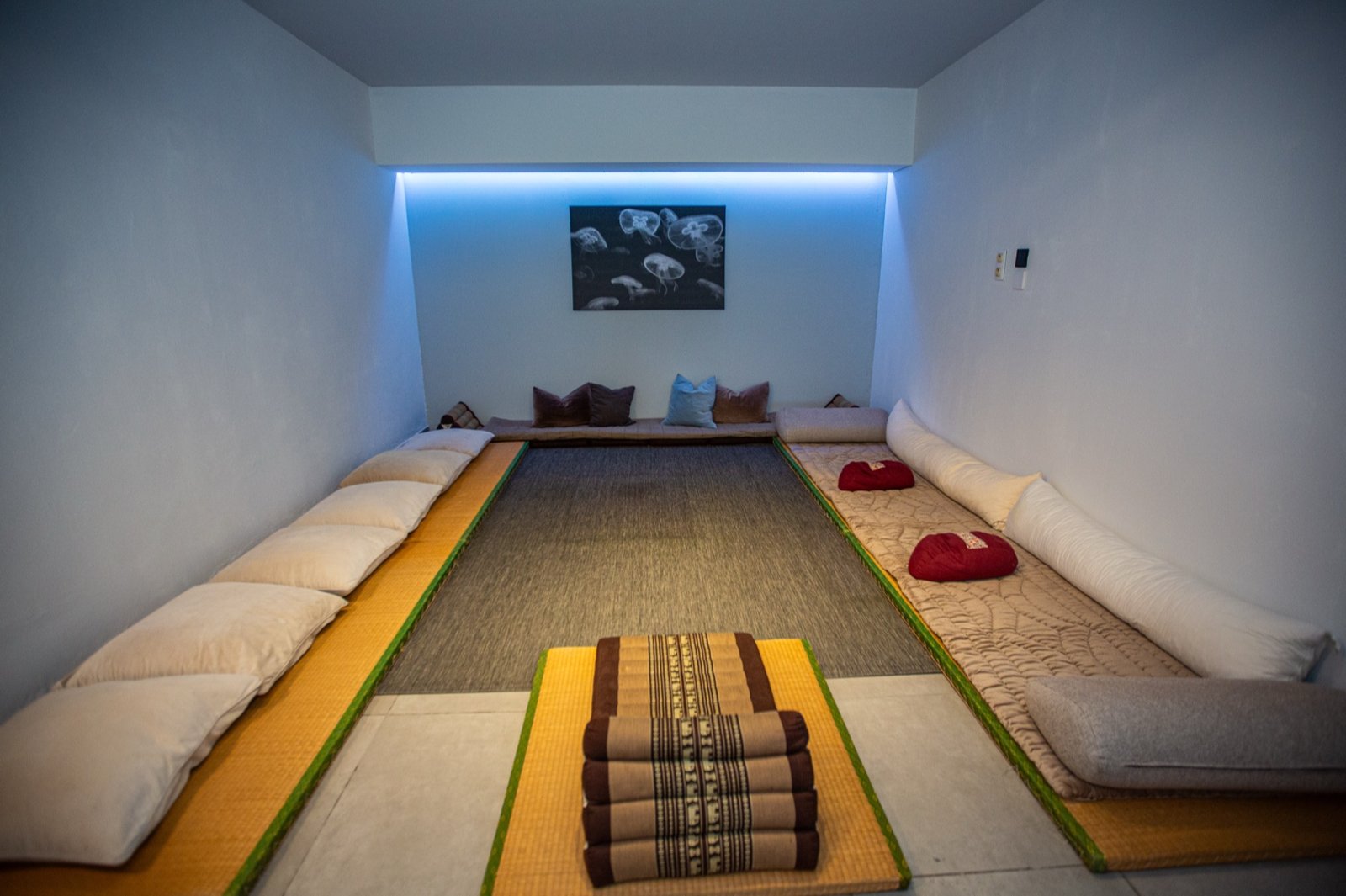 Urban Oasis Horizon practice room Maaseik – view 6