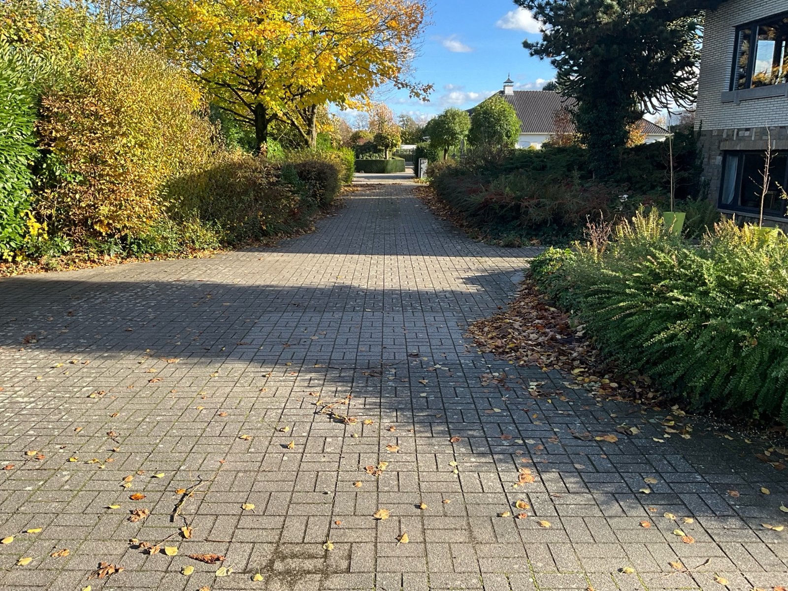 Urban Oasis main driveway on the property in Maaseik
